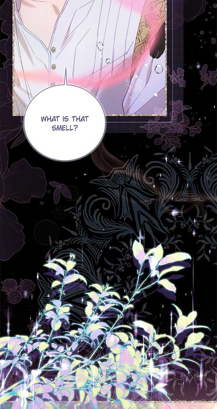 Read Beatrice Manga Online
