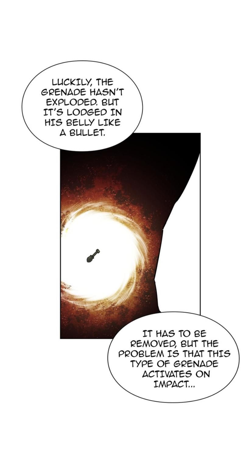 Read Doctor Elise The Royal Lady with the Lamp Manga Online