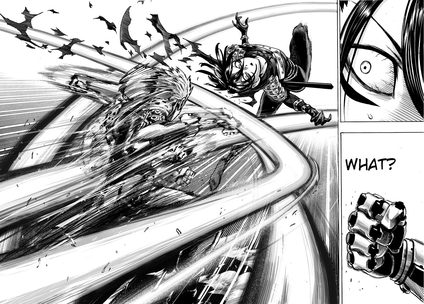 Read One-Punch Man Manga Online