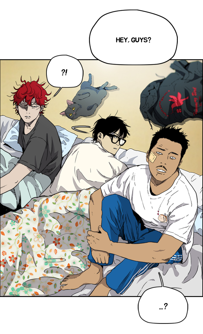 Read Wind Breaker Manga Online