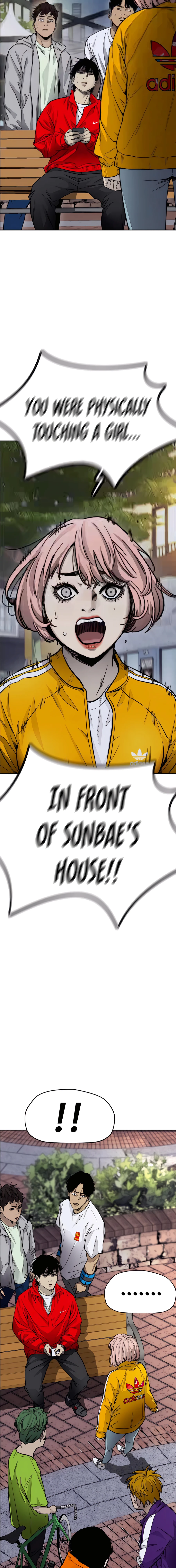 Read Wind Breaker Manga Online