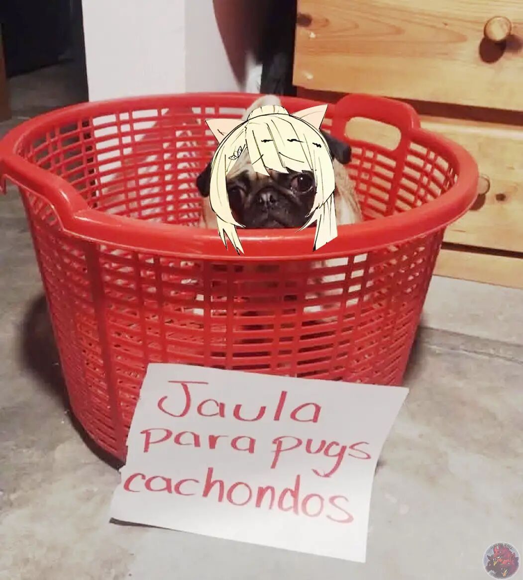 Read GACHA INFINITO Manga Online