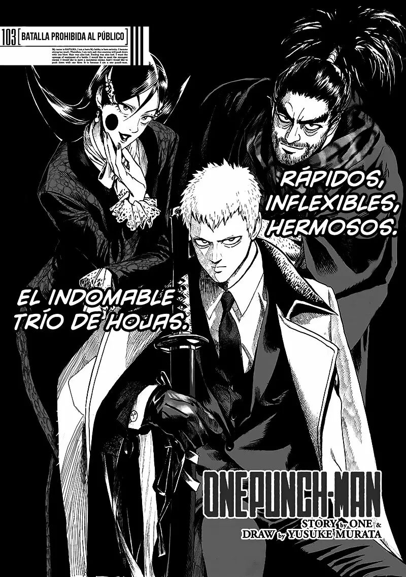 Read One Punch-Man Es Manga Online