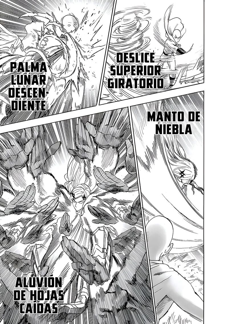 Read One Punch-Man Es Manga Online