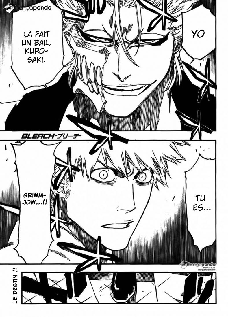 Read Bleach vf Manga Online