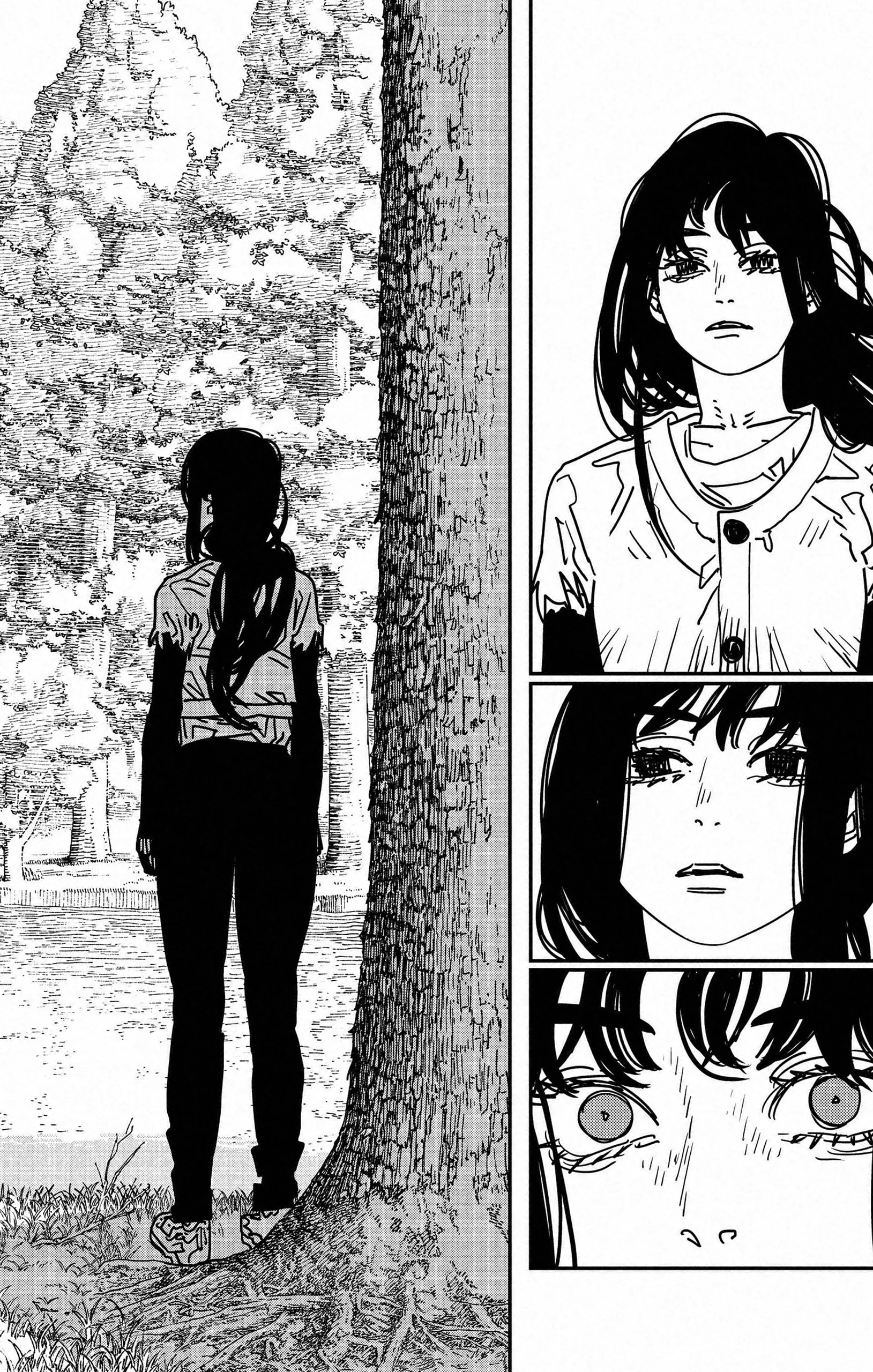 Read Chainsaw Man vf Manga Online