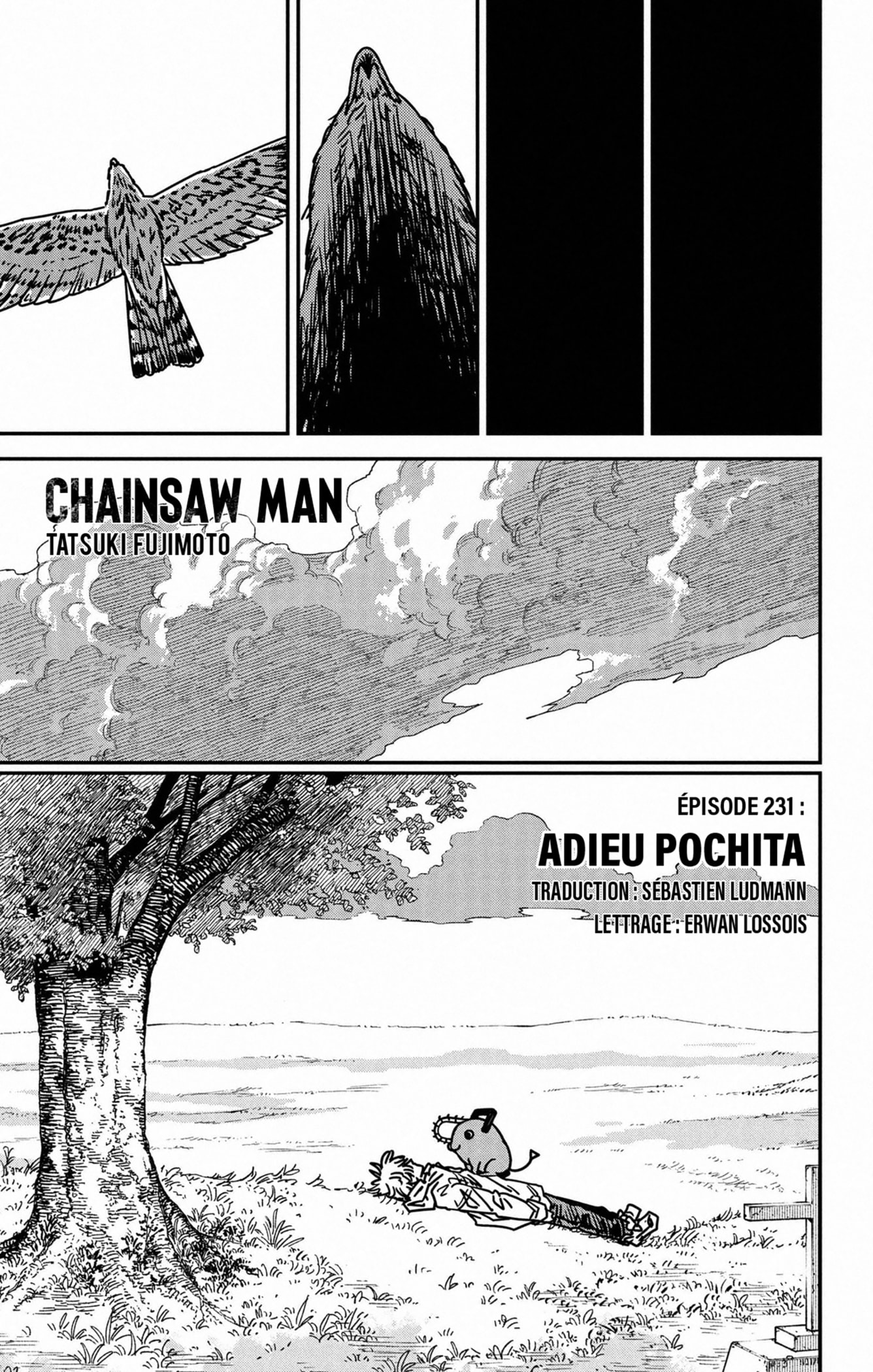 Read Chainsaw Man vf Manga Online