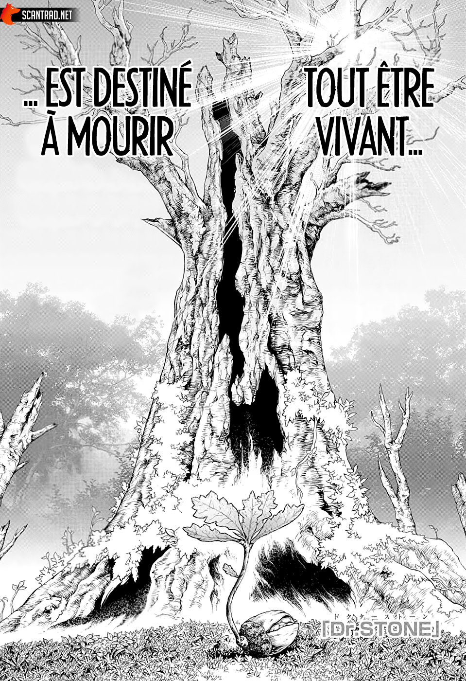 Read Dr. Stone vf Manga Online