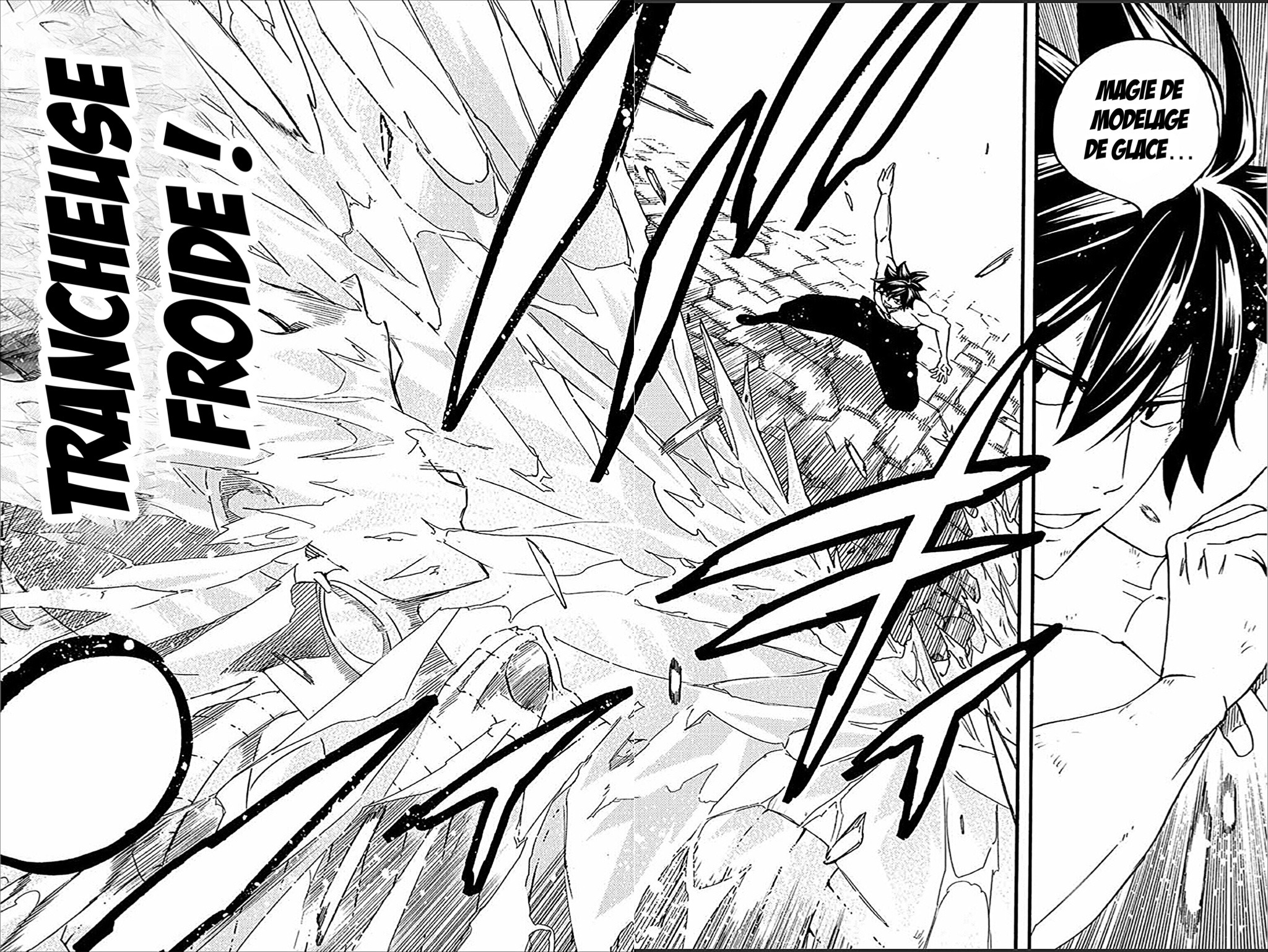 Read Fairy Tail 100 Years Quest vf Manga Online