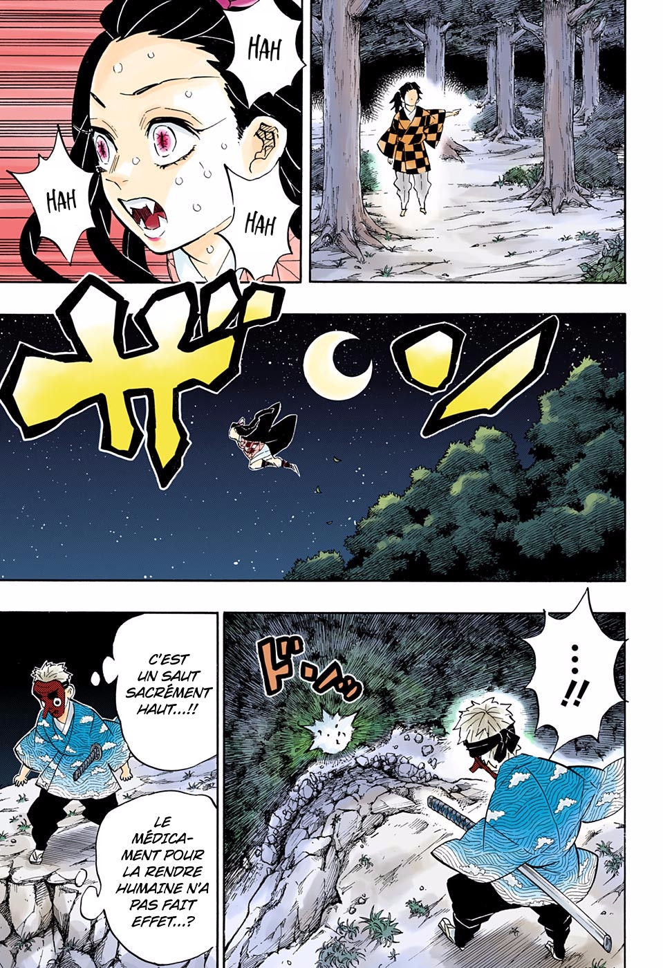 Read Kimetsu No Yaiba vf Manga Online