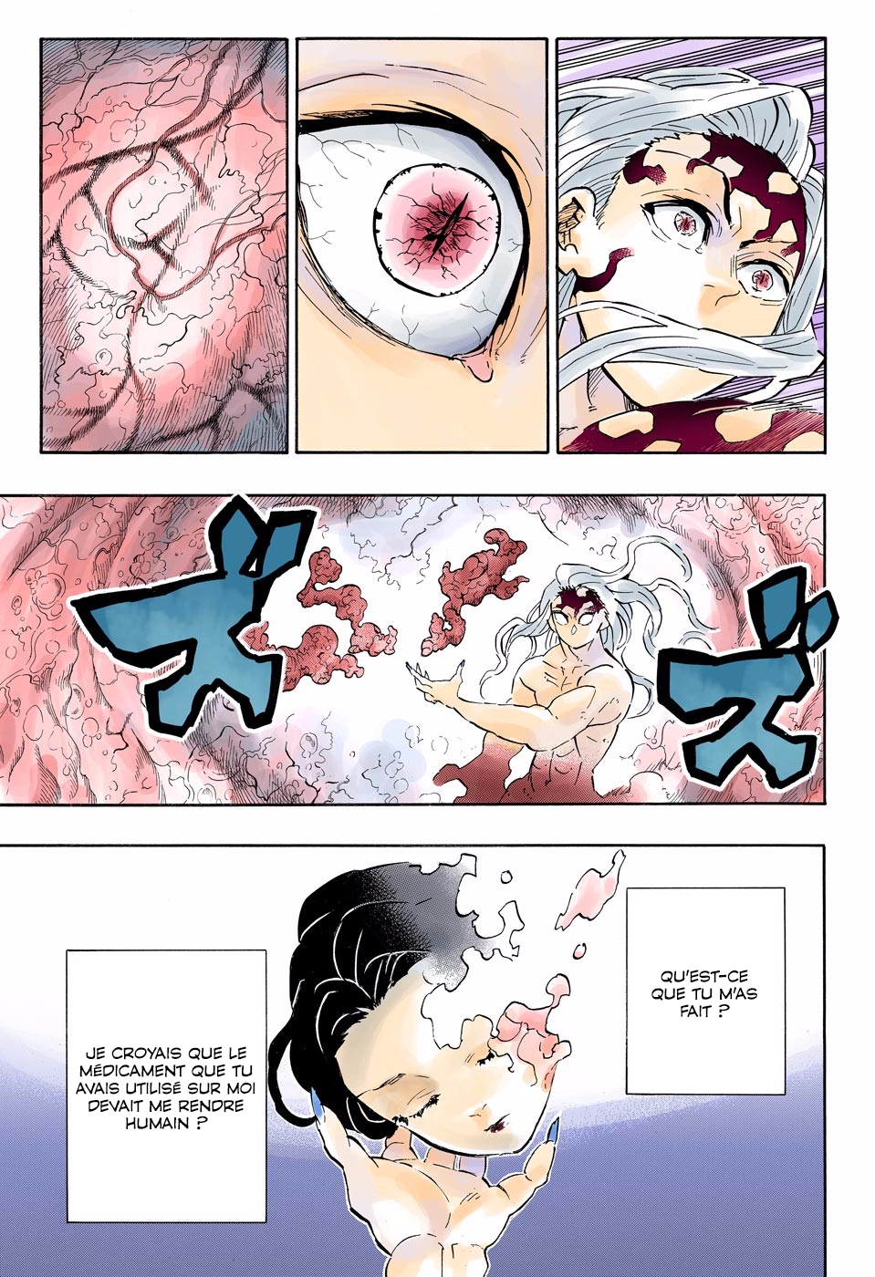 Read Kimetsu No Yaiba vf Manga Online