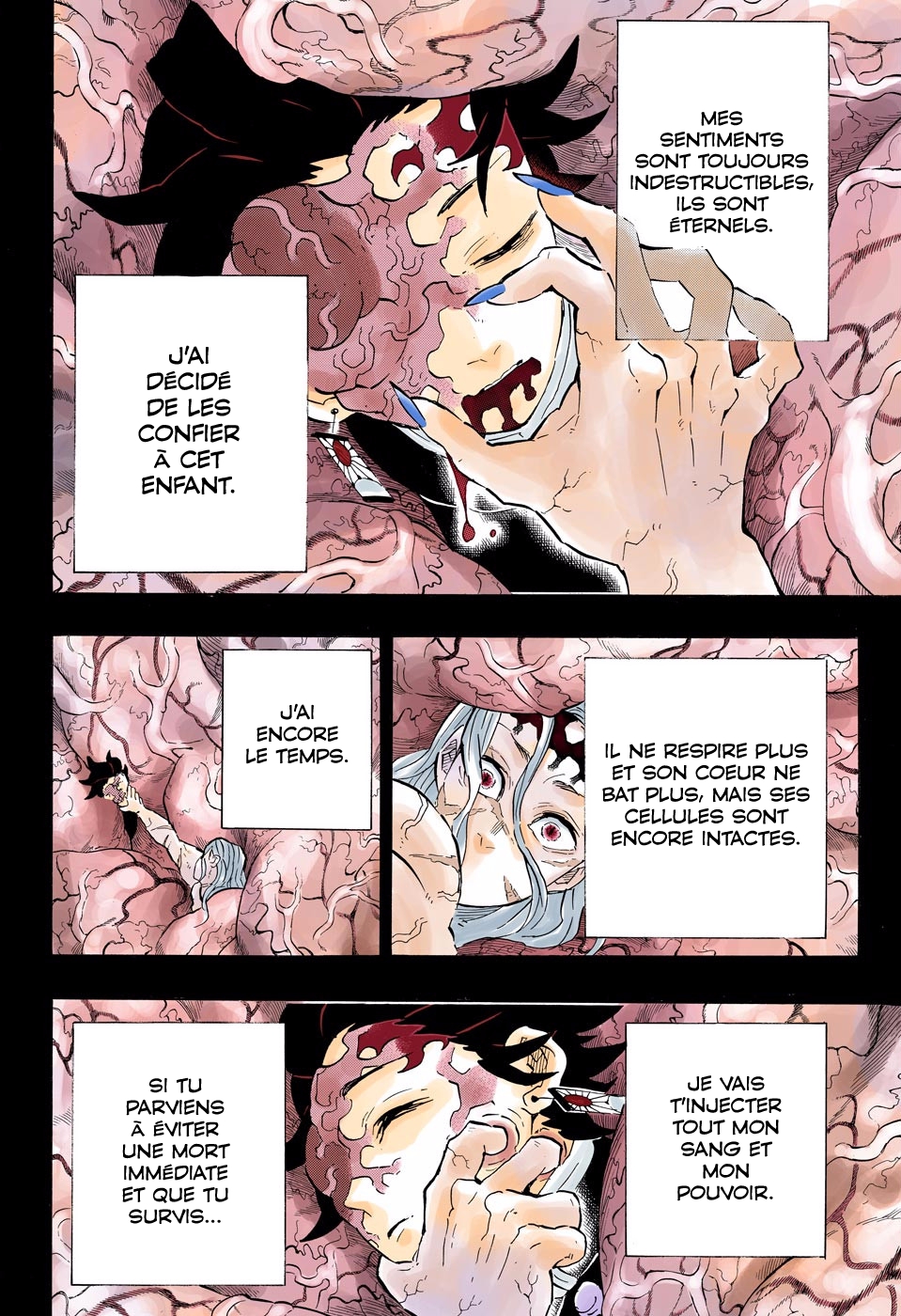 Read Kimetsu No Yaiba vf Manga Online