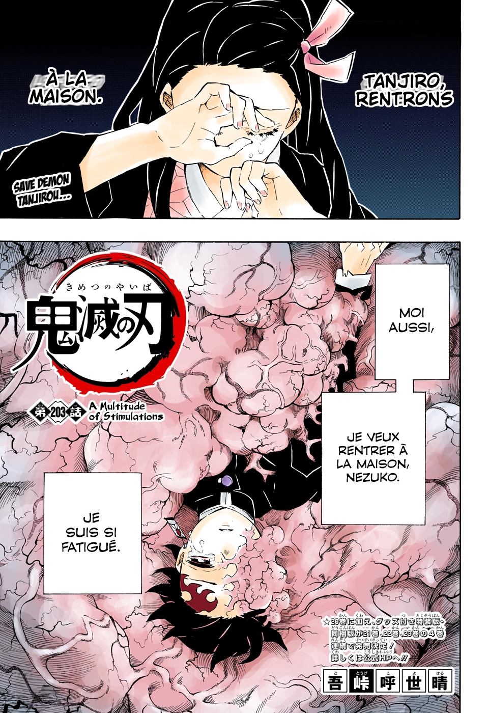 Read Kimetsu No Yaiba vf Manga Online