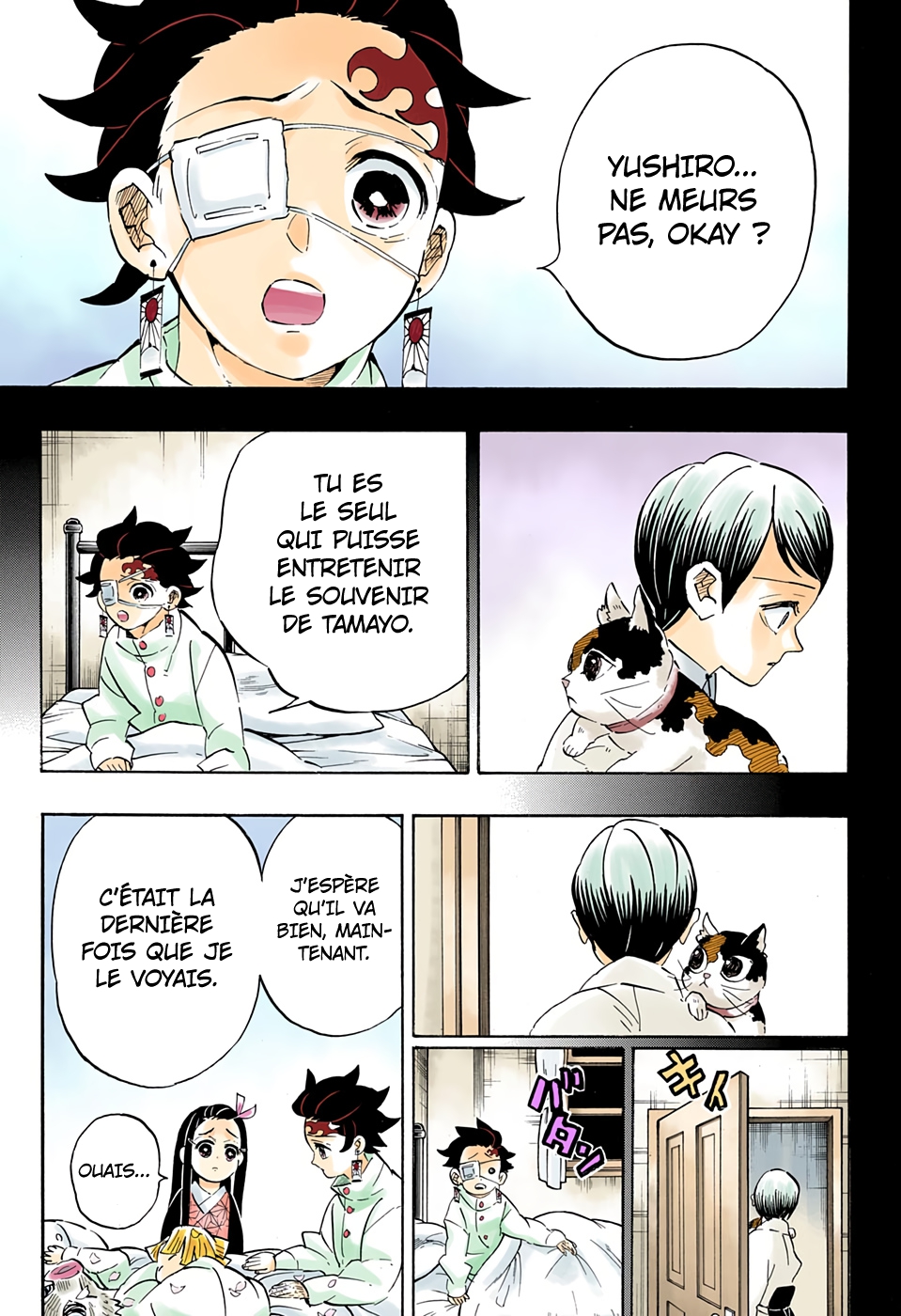 Read Kimetsu No Yaiba vf Manga Online