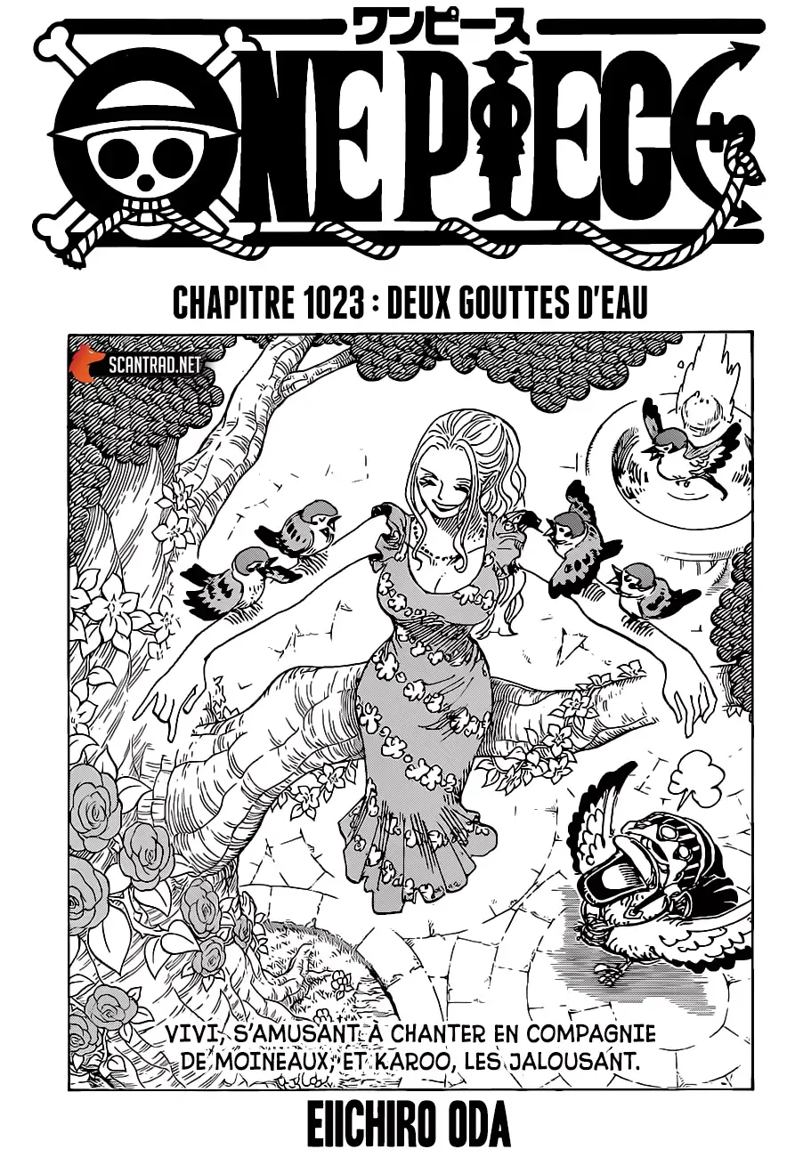 Read One Piece vf Manga Online