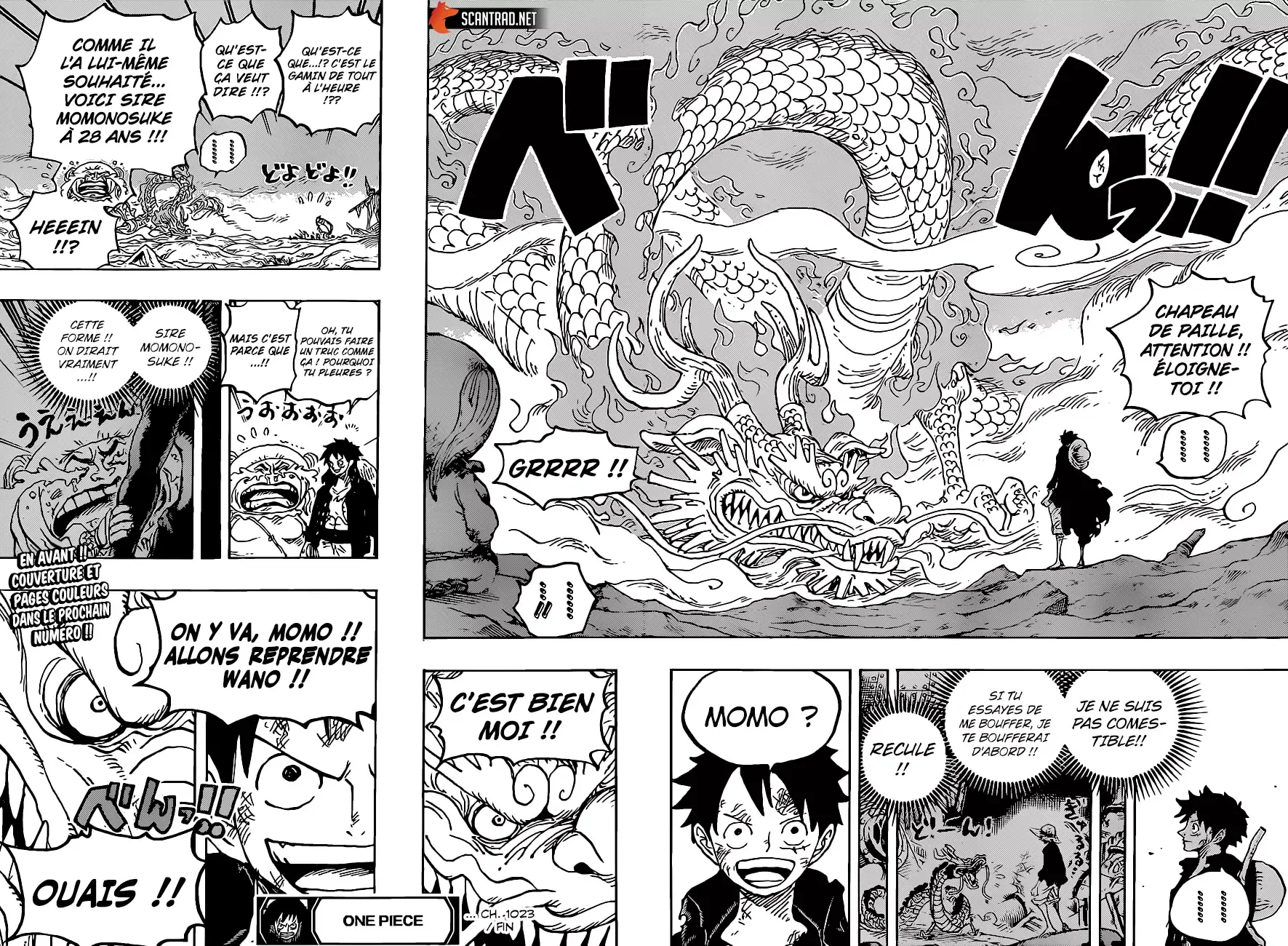 Read One Piece vf Manga Online