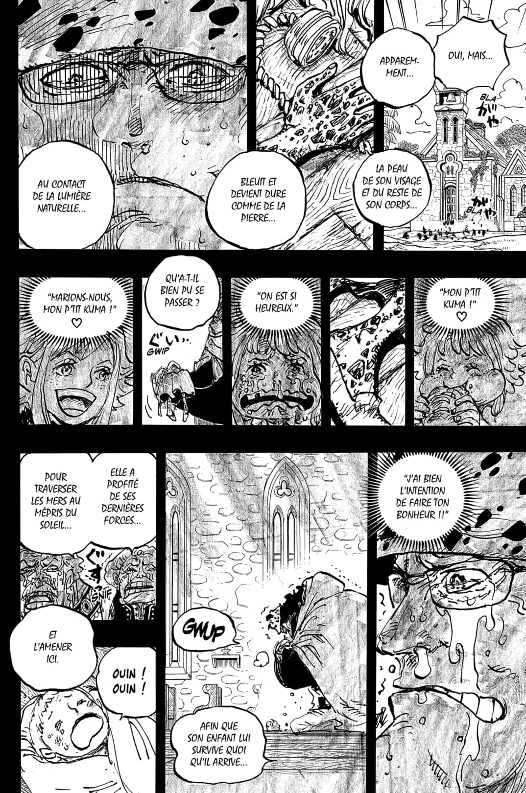 Read One Piece vf Manga Online