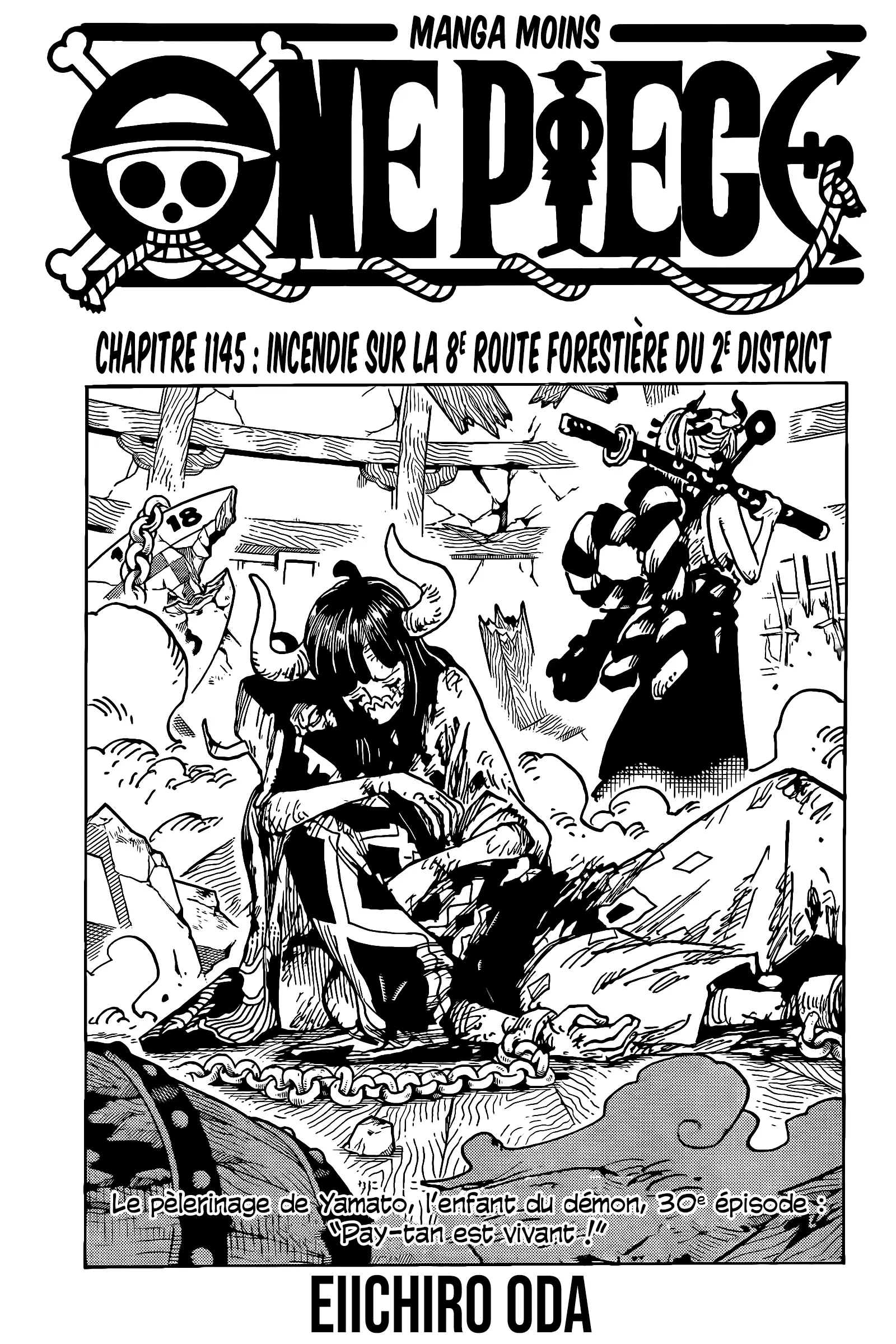 Read One Piece vf Manga Online
