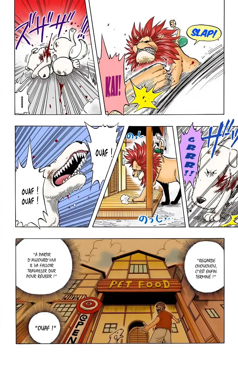Read One Piece vf Manga Online