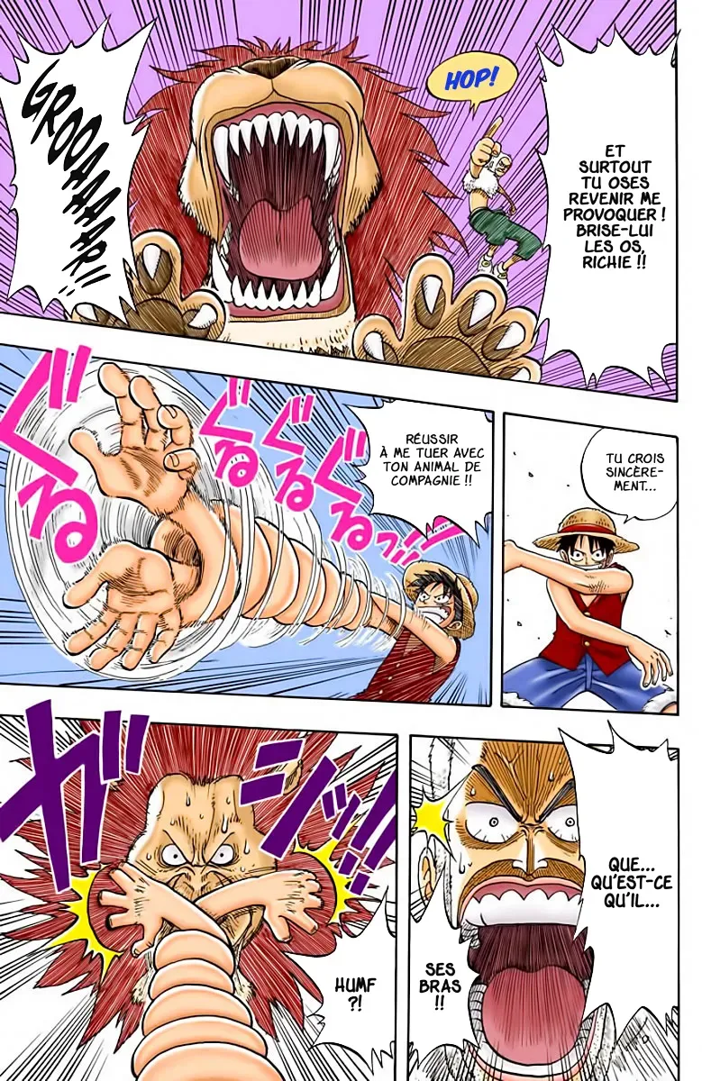 Read One Piece vf Manga Online