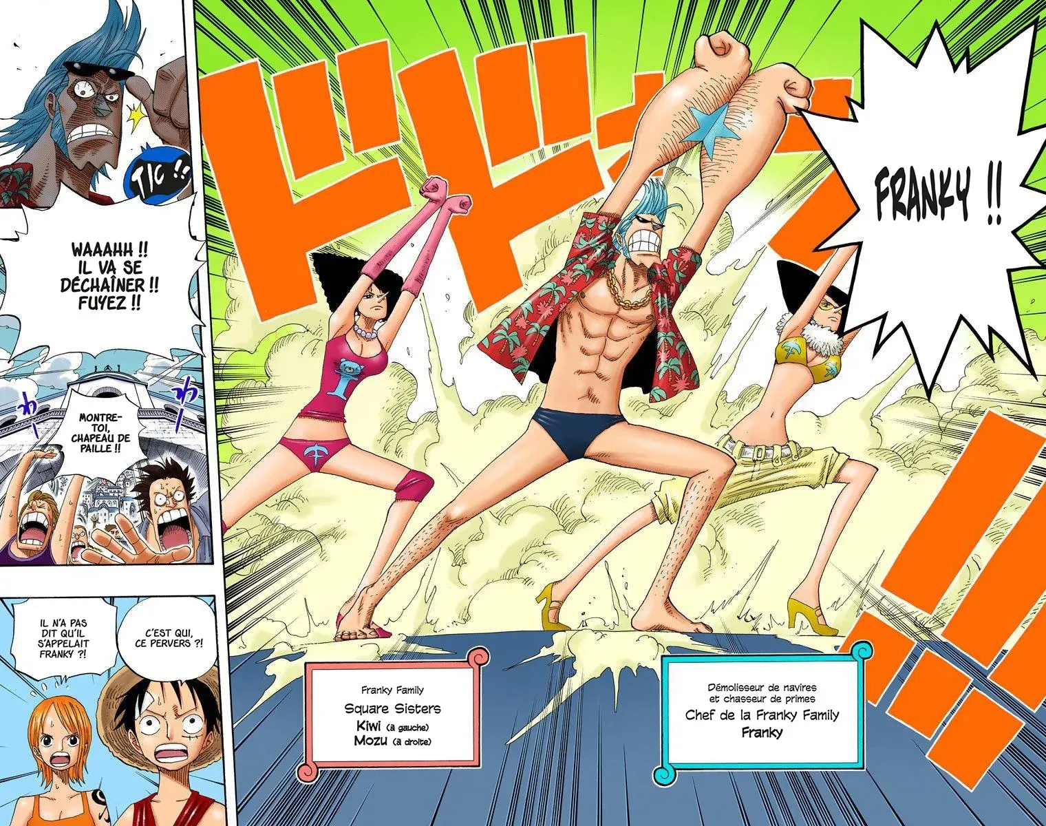 Read One Piece vf Manga Online