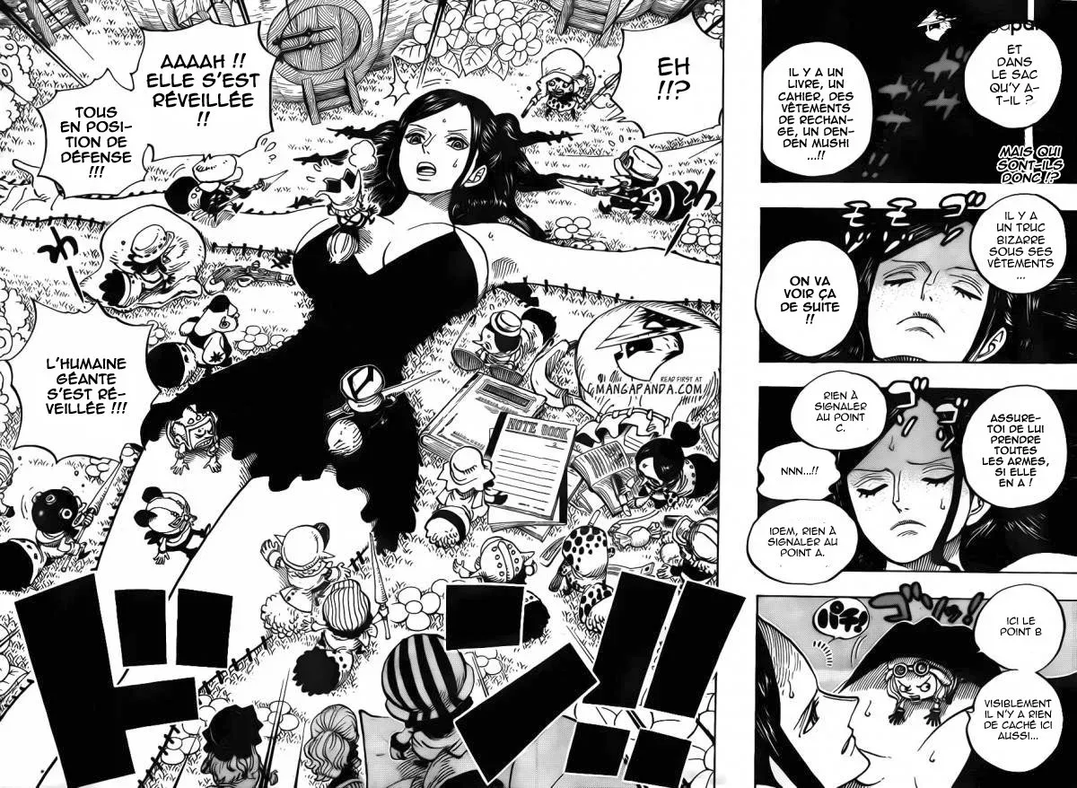 Read One Piece vf Manga Online