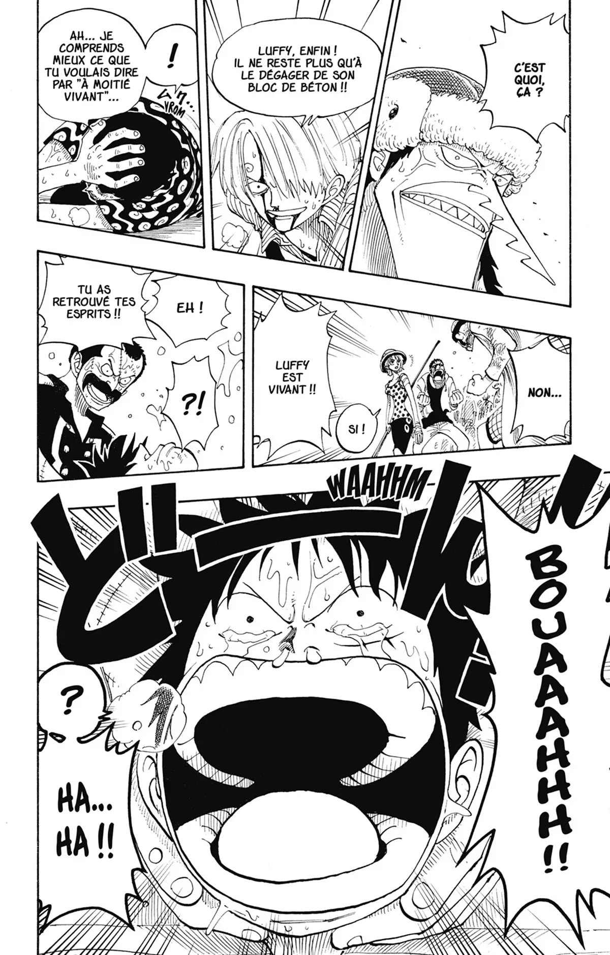 Read One Piece vf Manga Online