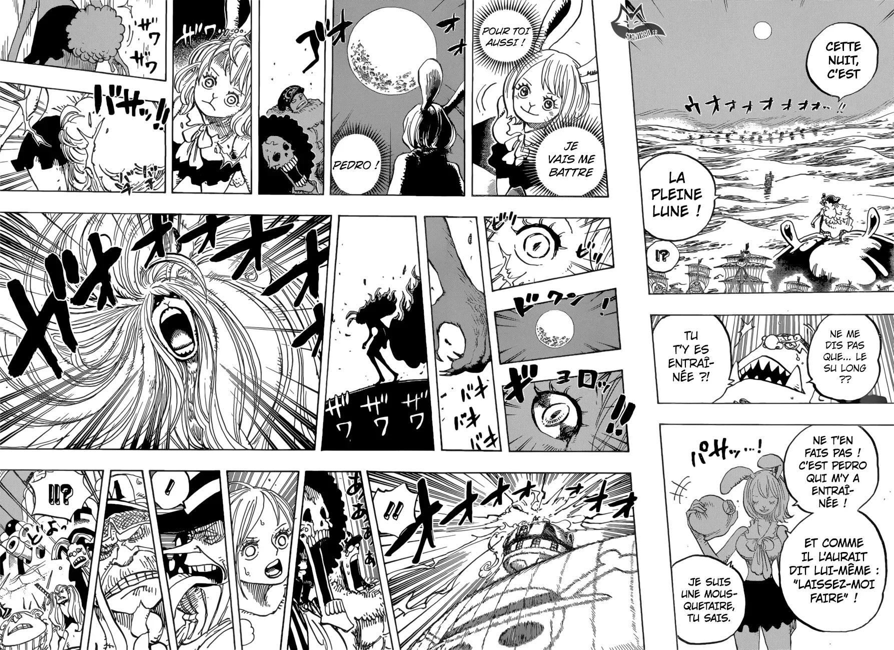 Read One Piece vf Manga Online