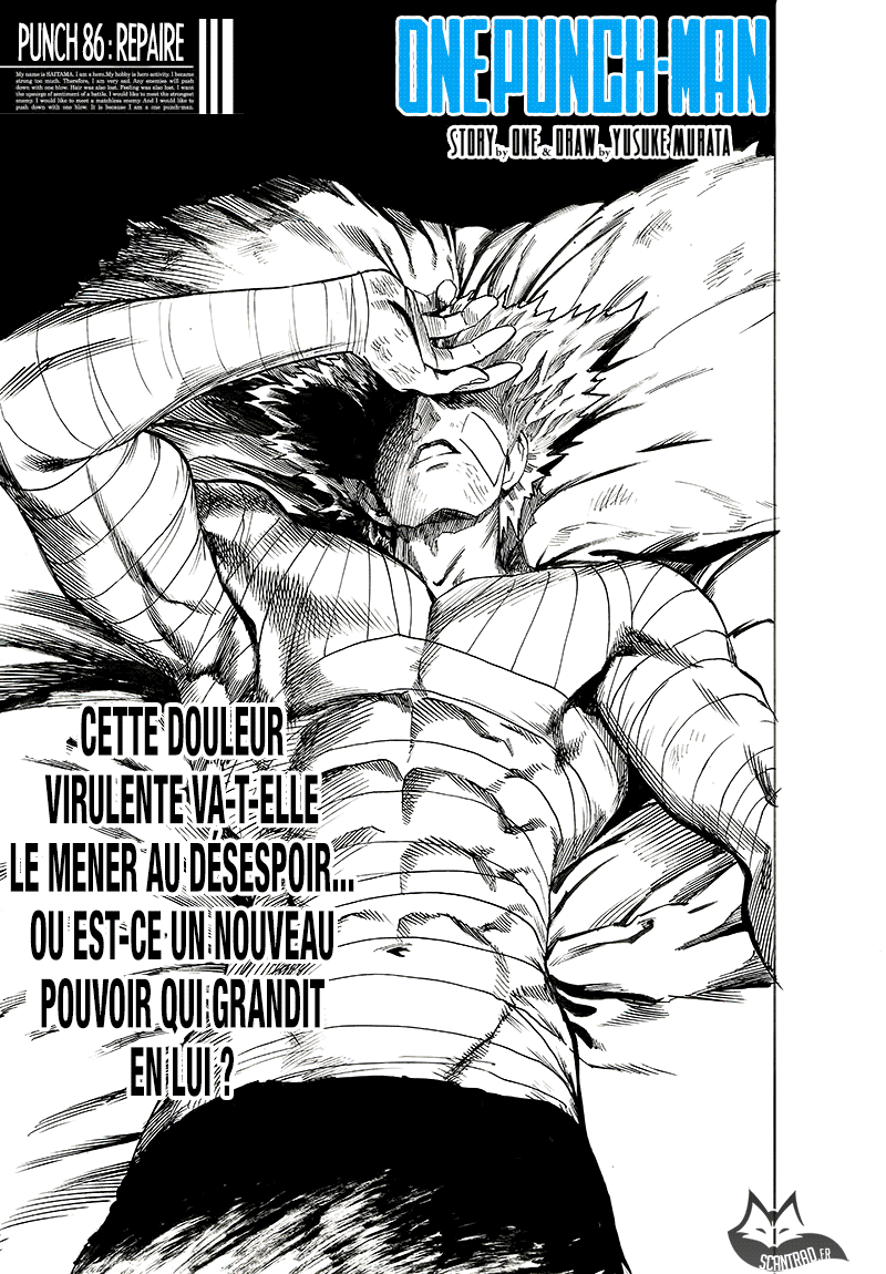 Read One Punch Man vf Manga Online