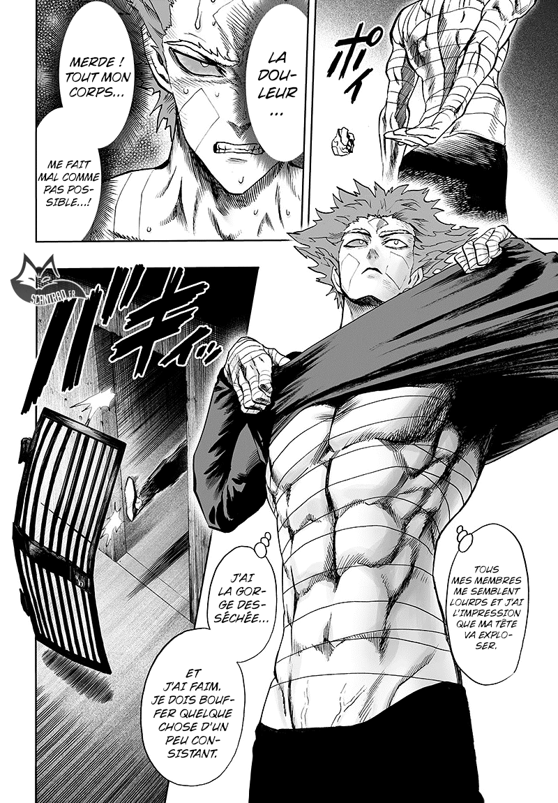 Read One Punch Man vf Manga Online