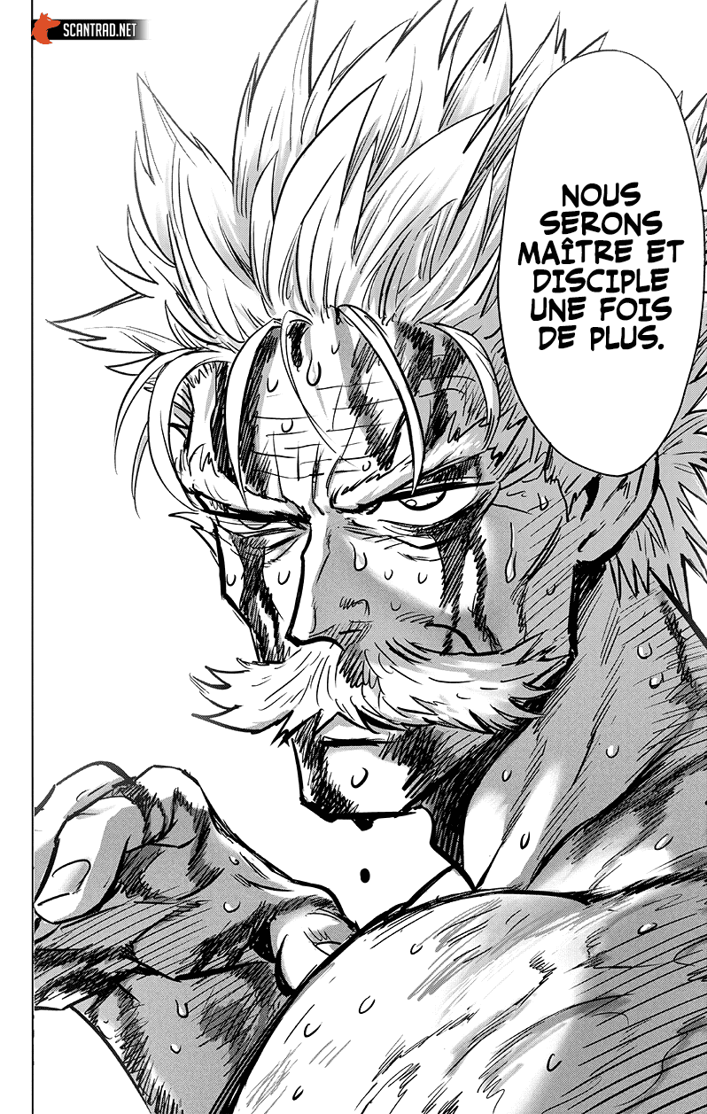 Read One Punch Man vf Manga Online