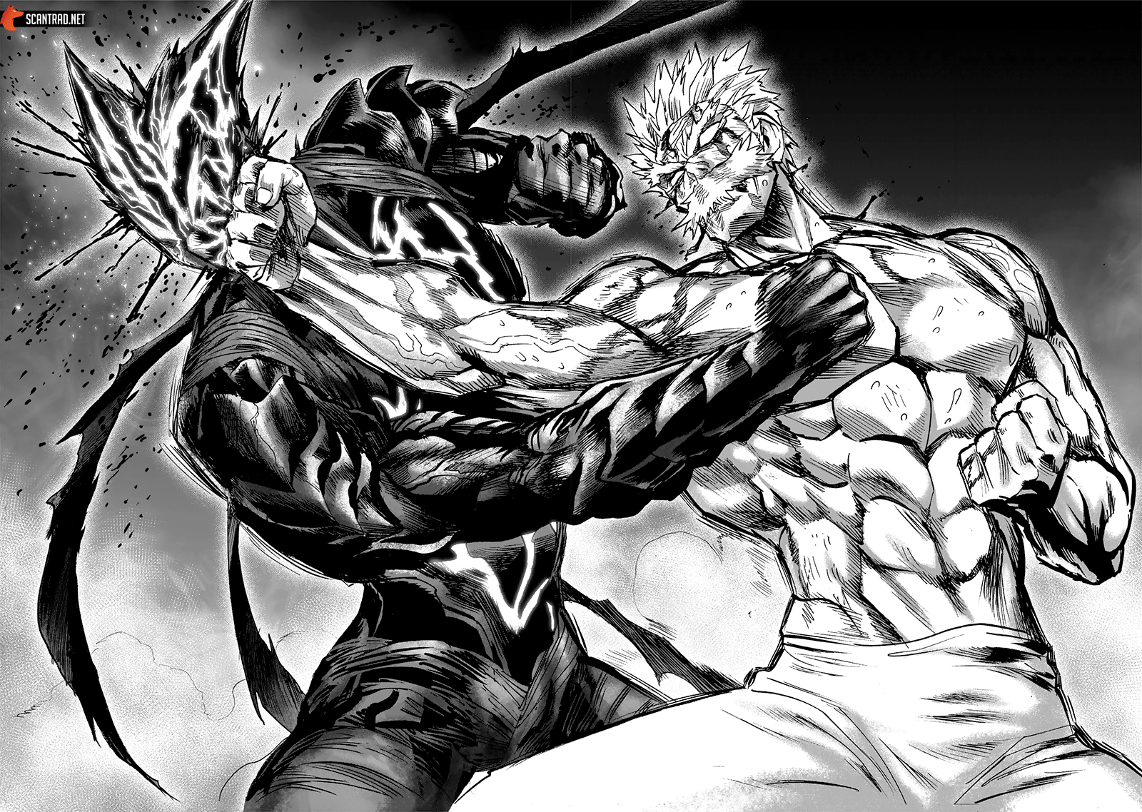 Read One Punch Man vf Manga Online