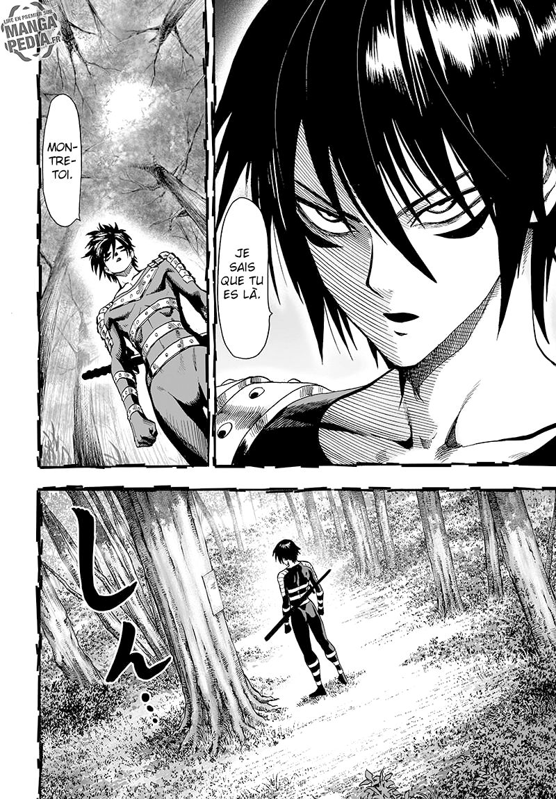 Read One Punch Man vf Manga Online