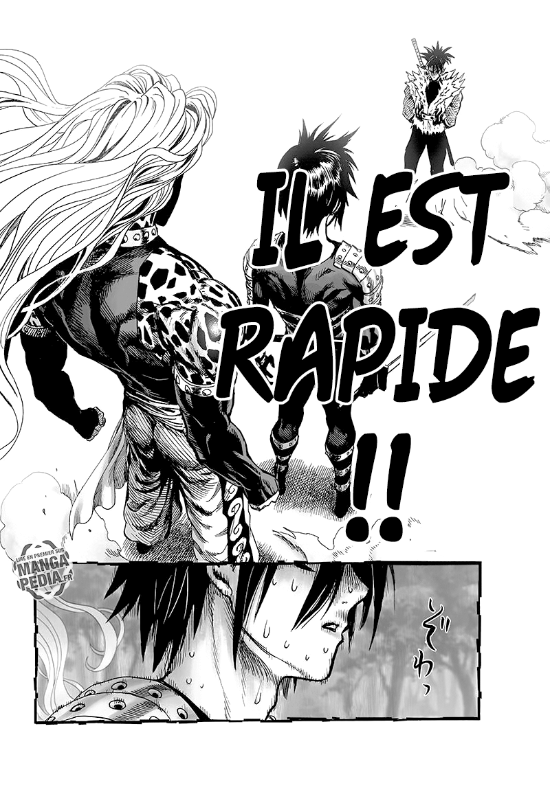 Read One Punch Man vf Manga Online
