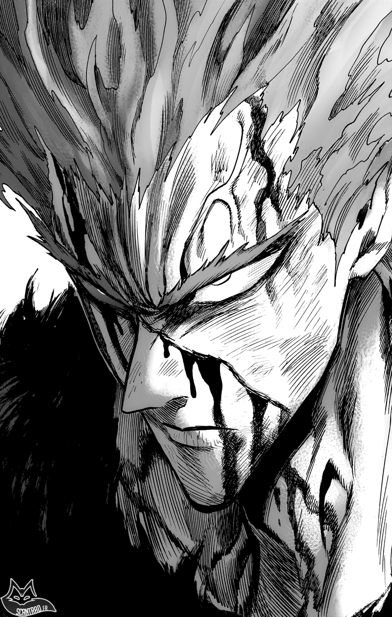 Read One Punch Man vf Manga Online