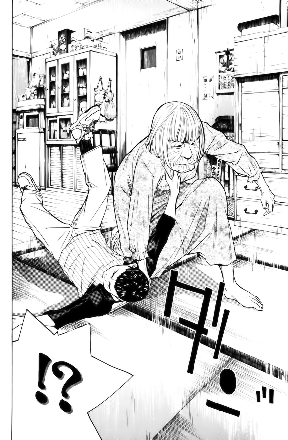 Read Shibatora vf Manga Online