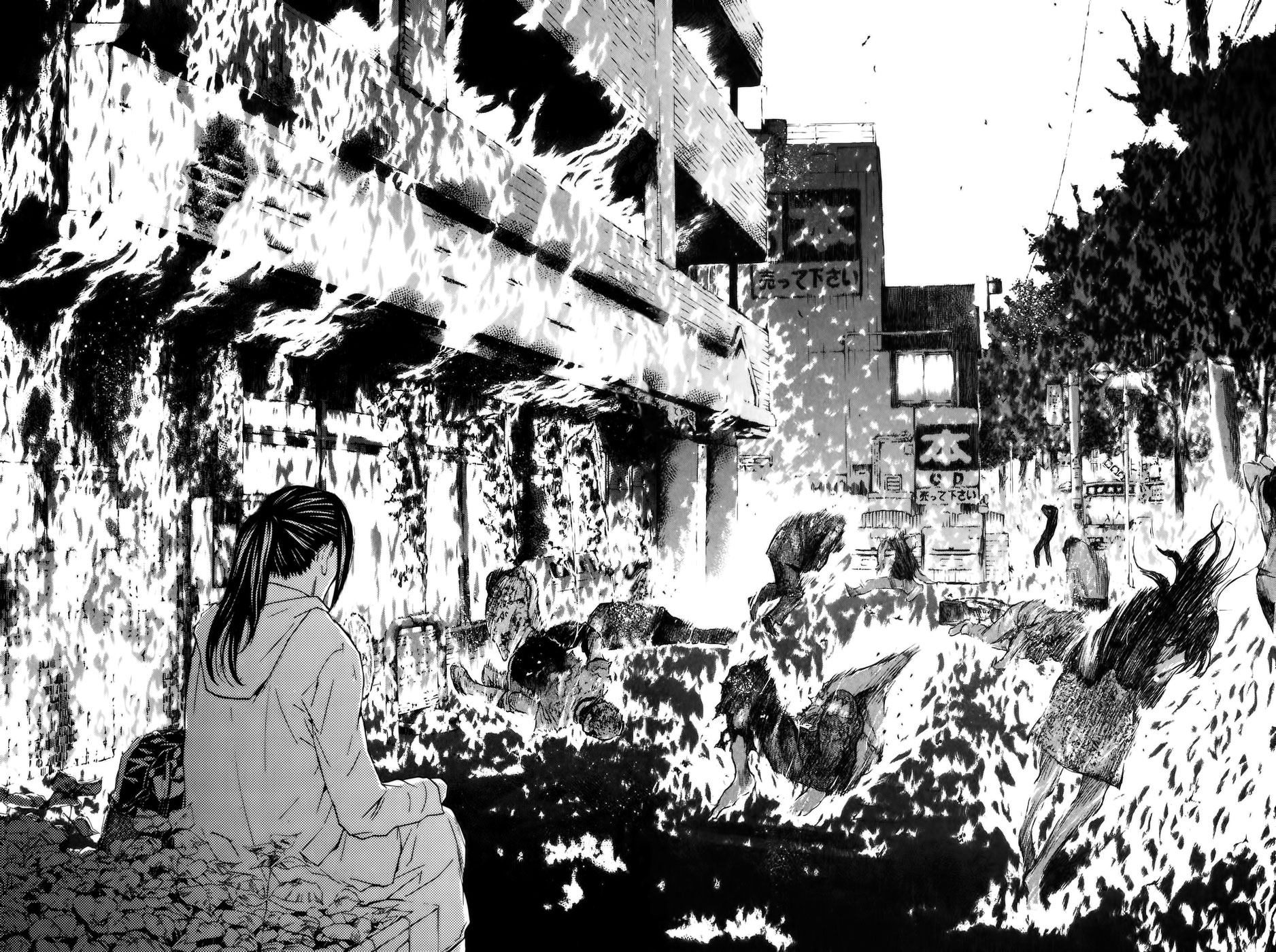 Read Shibatora vf Manga Online