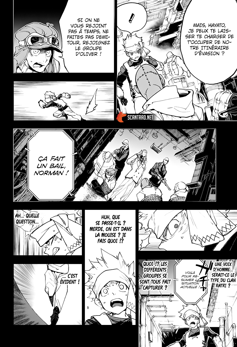 Read The Promised Neverland vf Manga Online