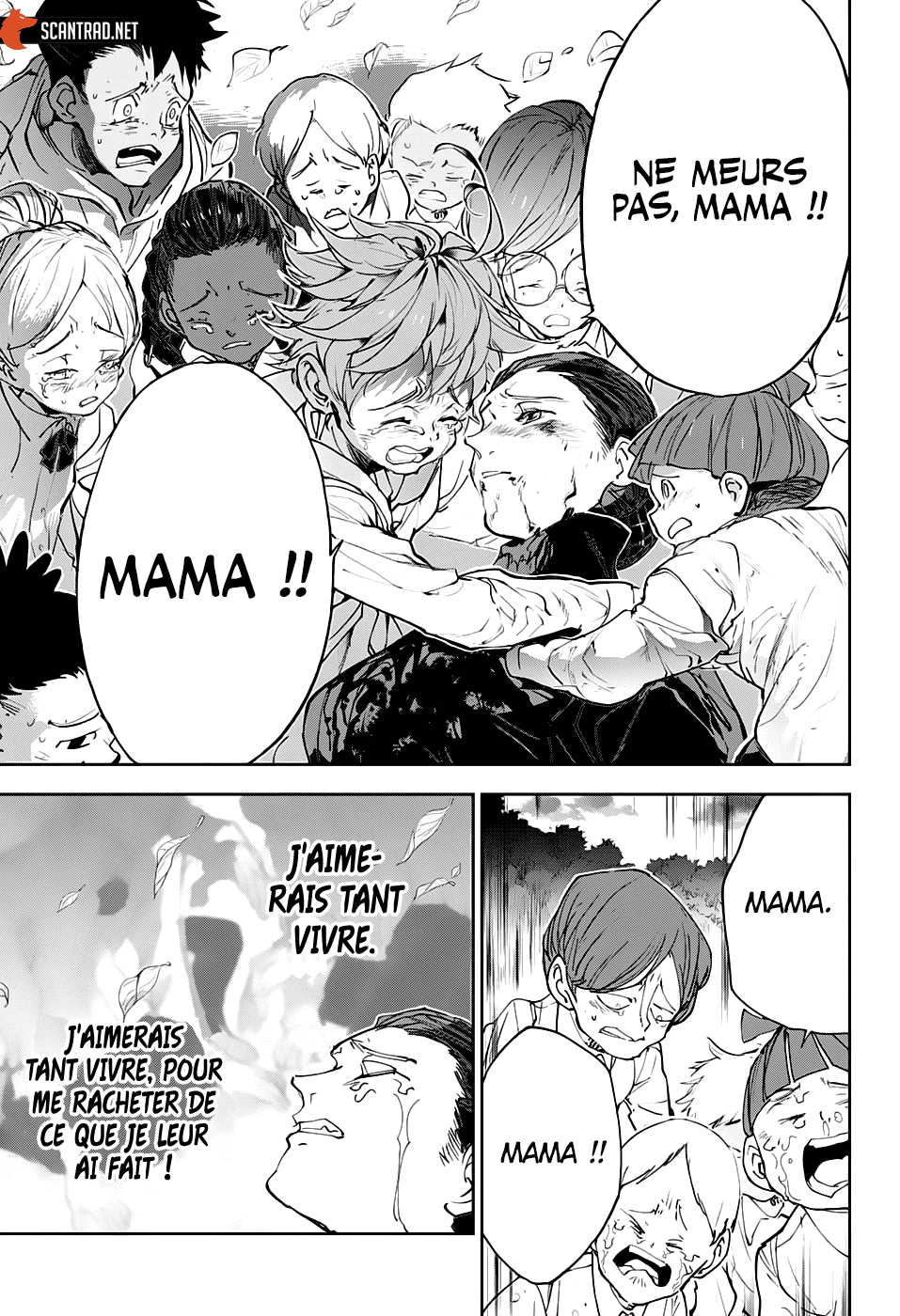 Read The Promised Neverland vf Manga Online