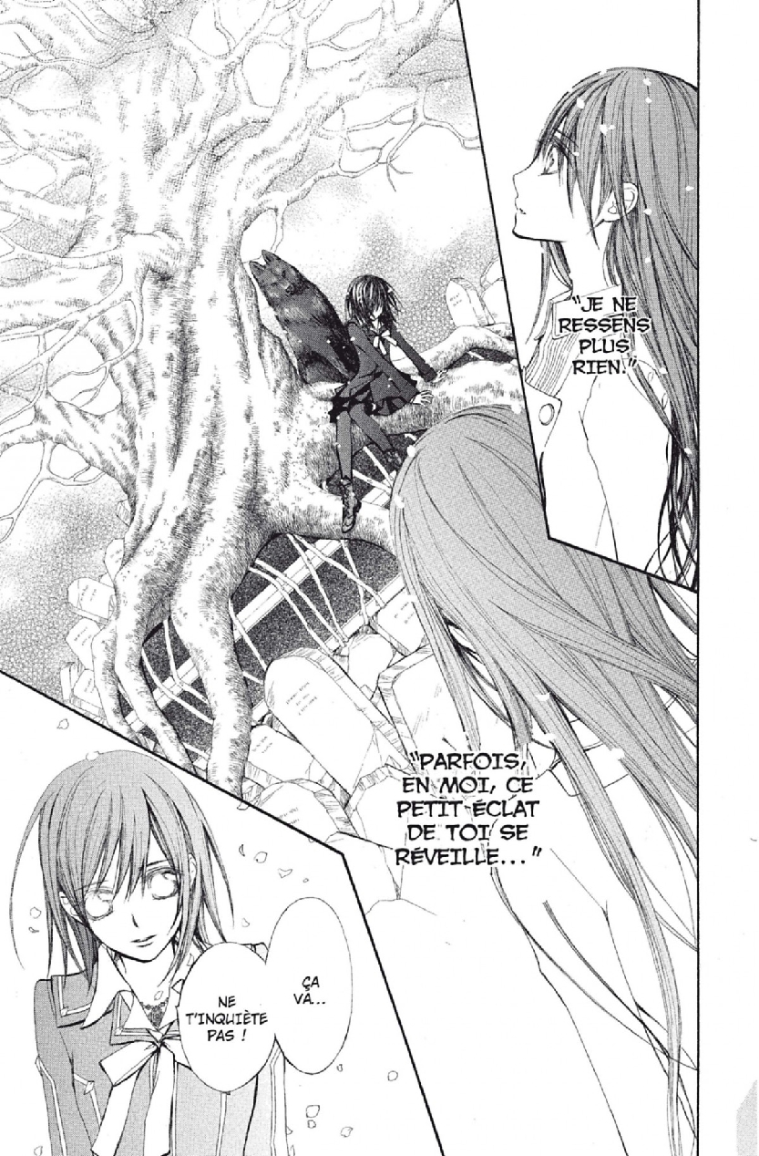 Read Vampire Knight vf Manga Online