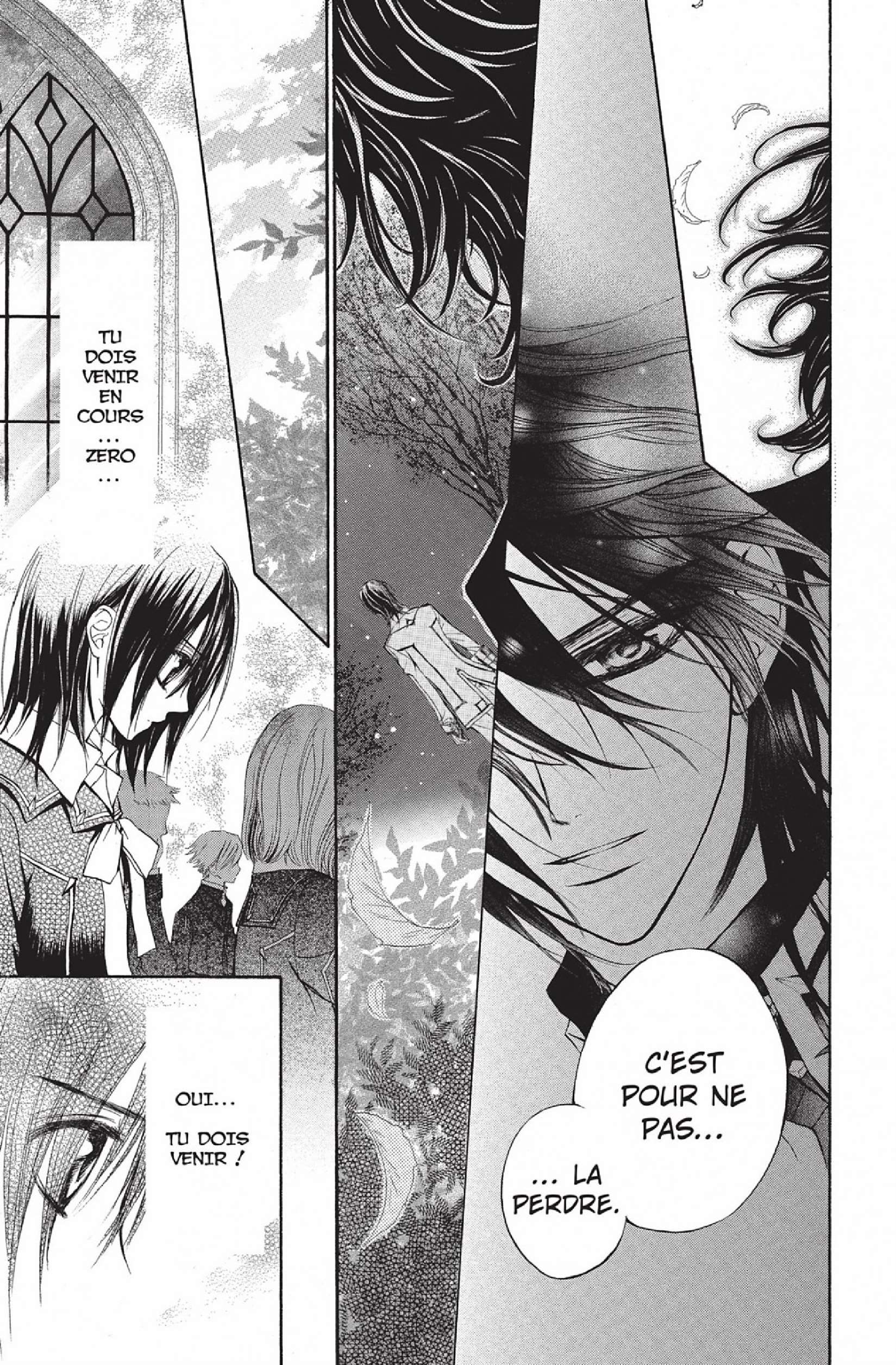 Read Vampire Knight vf Manga Online