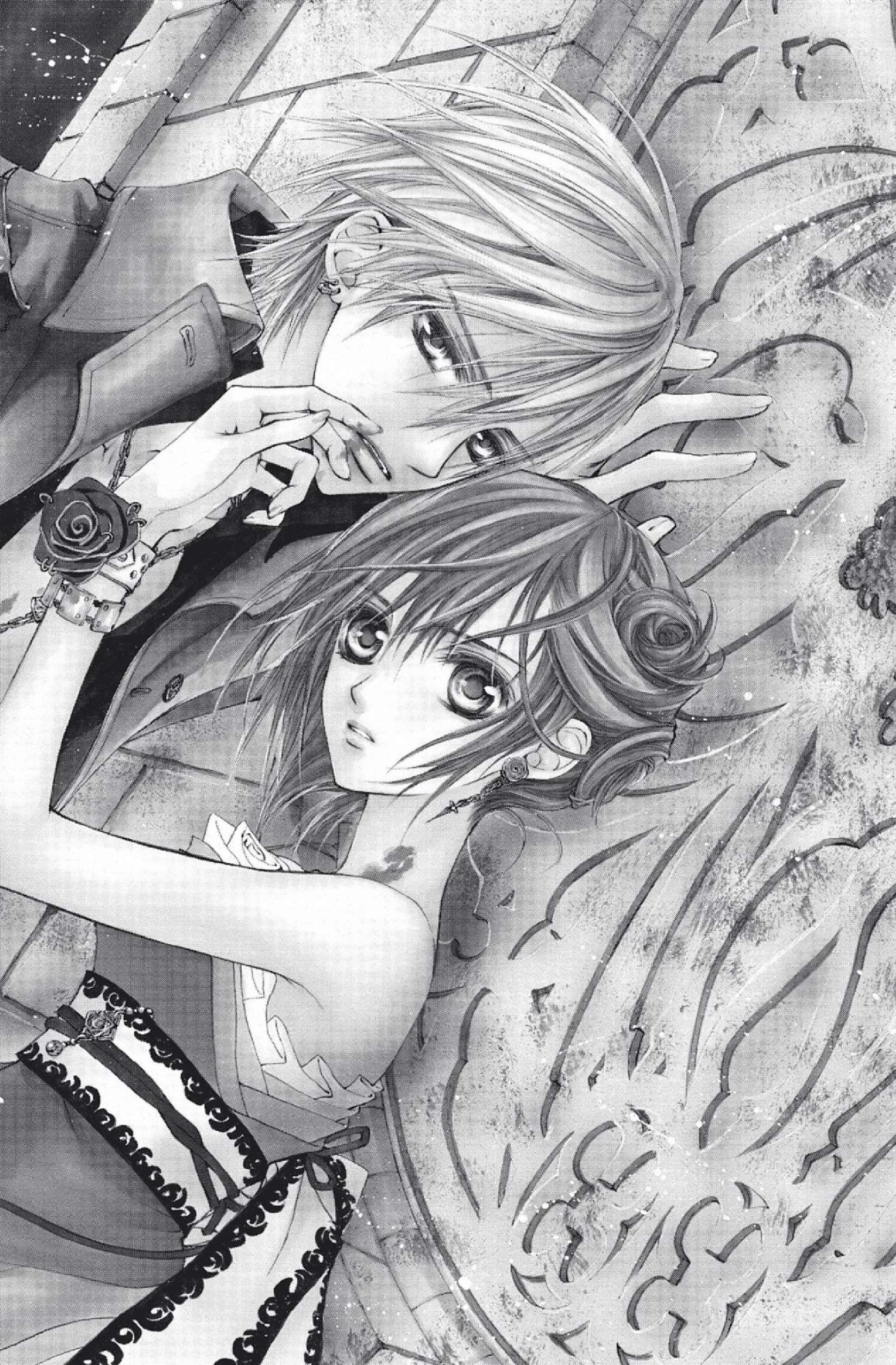 Read Vampire Knight vf Manga Online