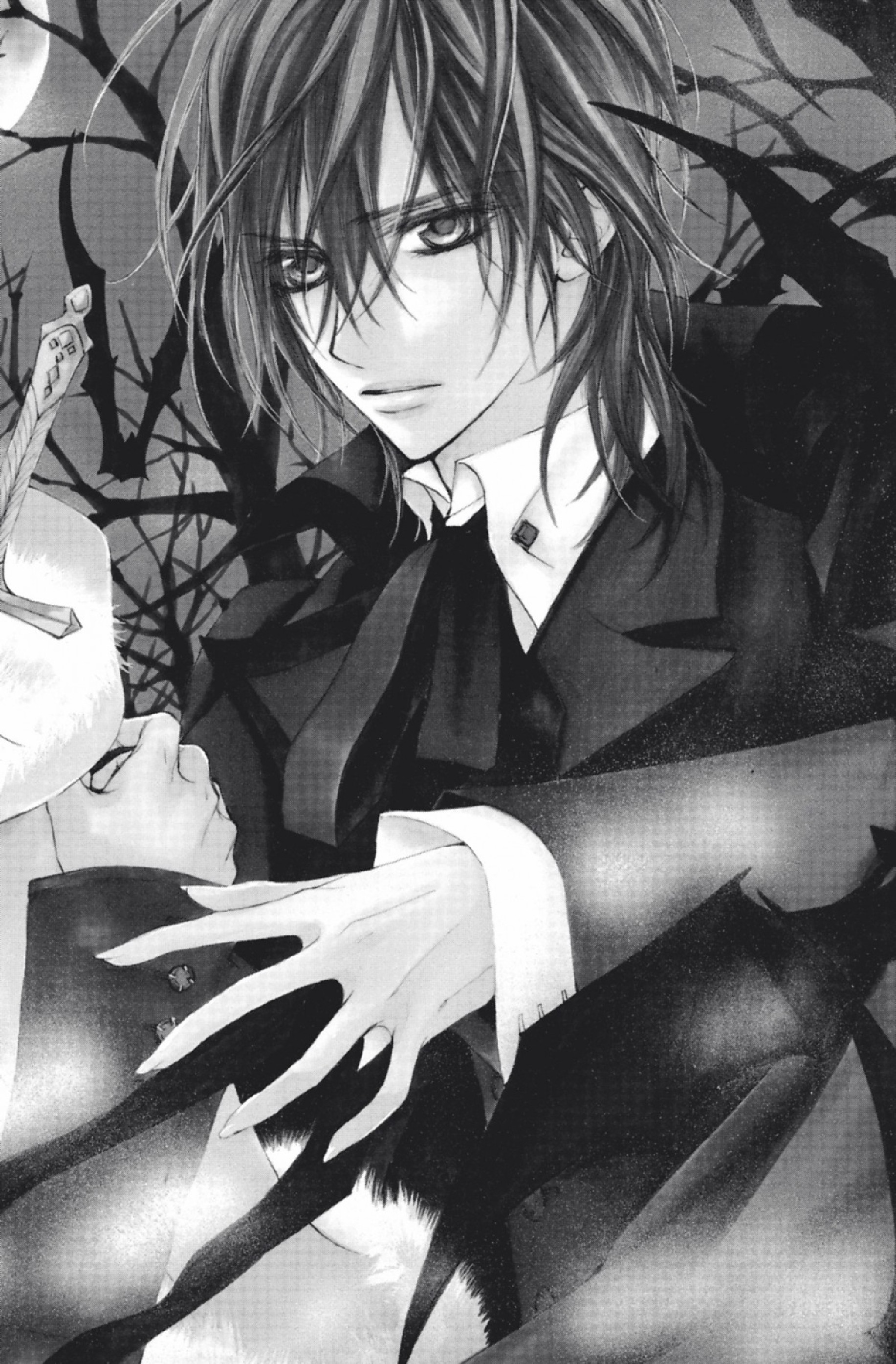 Read Vampire Knight vf Manga Online