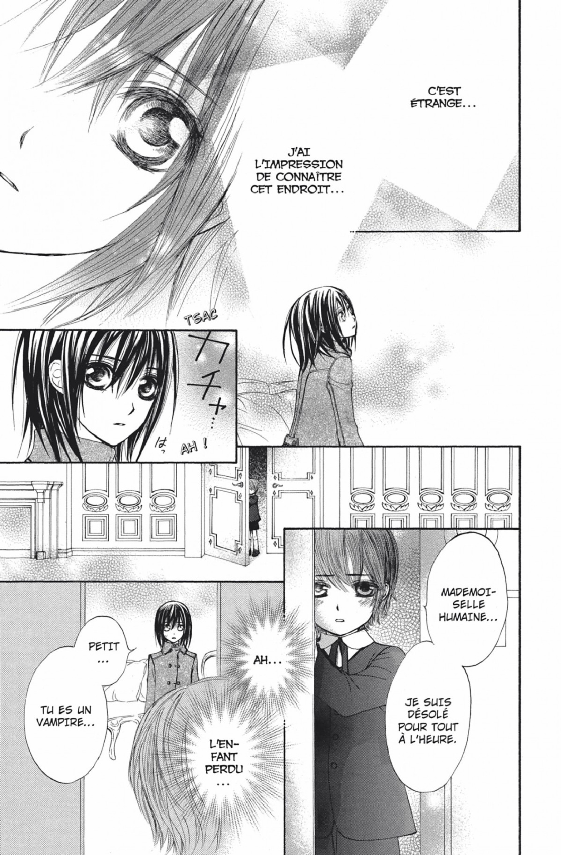Read Vampire Knight vf Manga Online