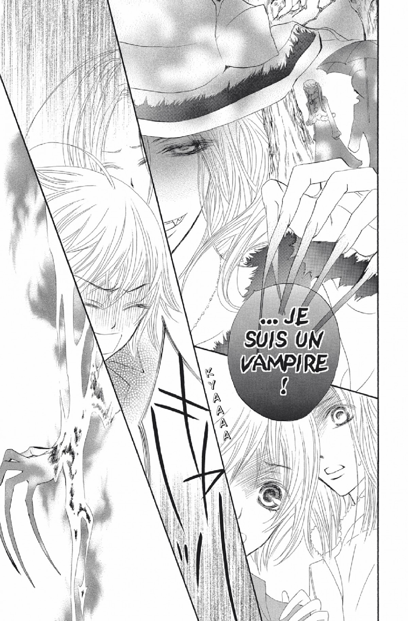 Read Vampire Knight vf Manga Online