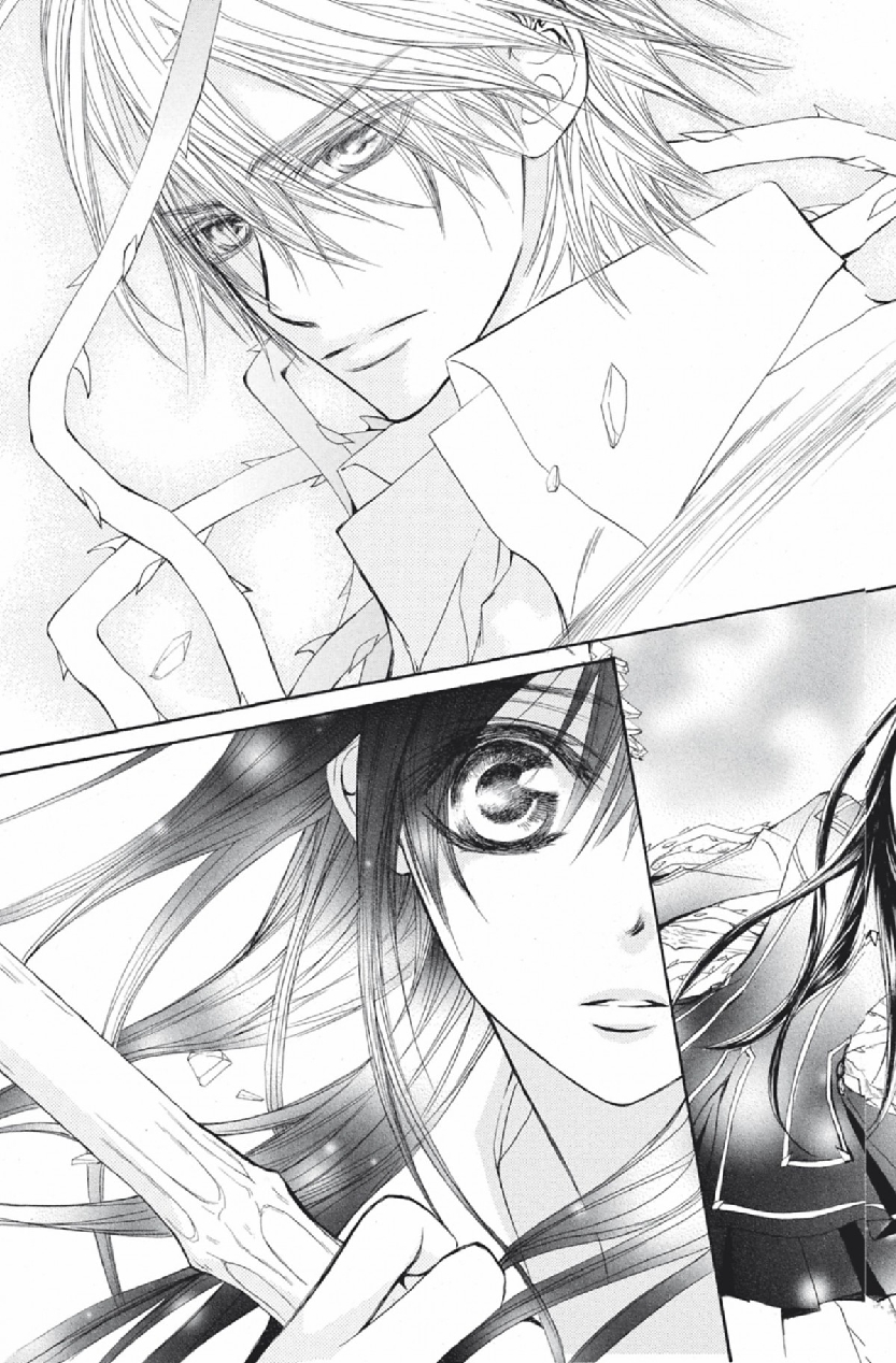 Read Vampire Knight vf Manga Online