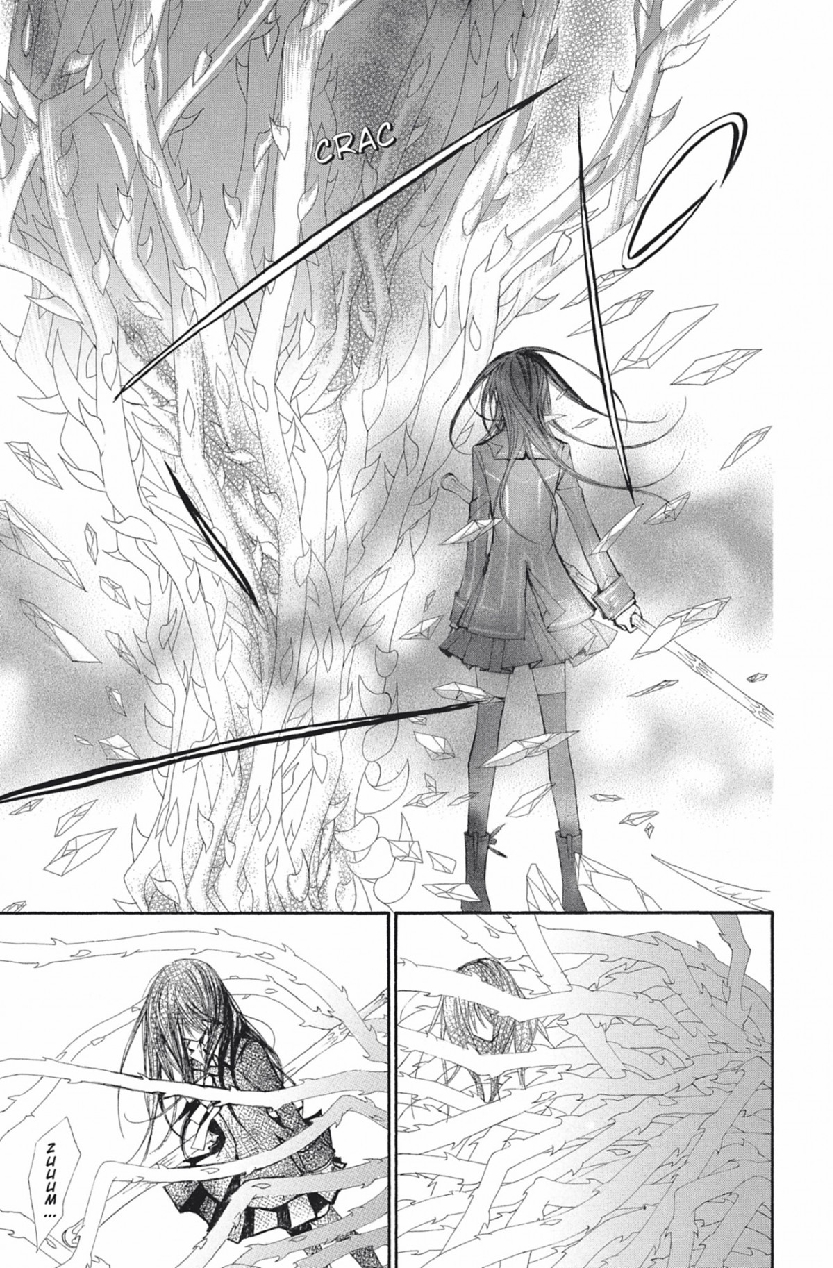 Read Vampire Knight vf Manga Online