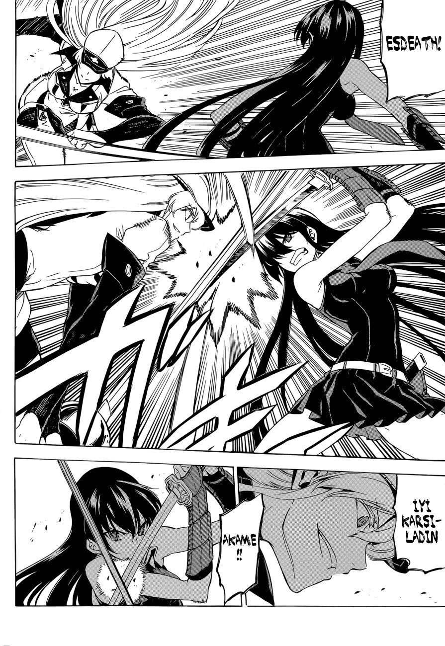 Read Akame ga KILL Tr Manga Online