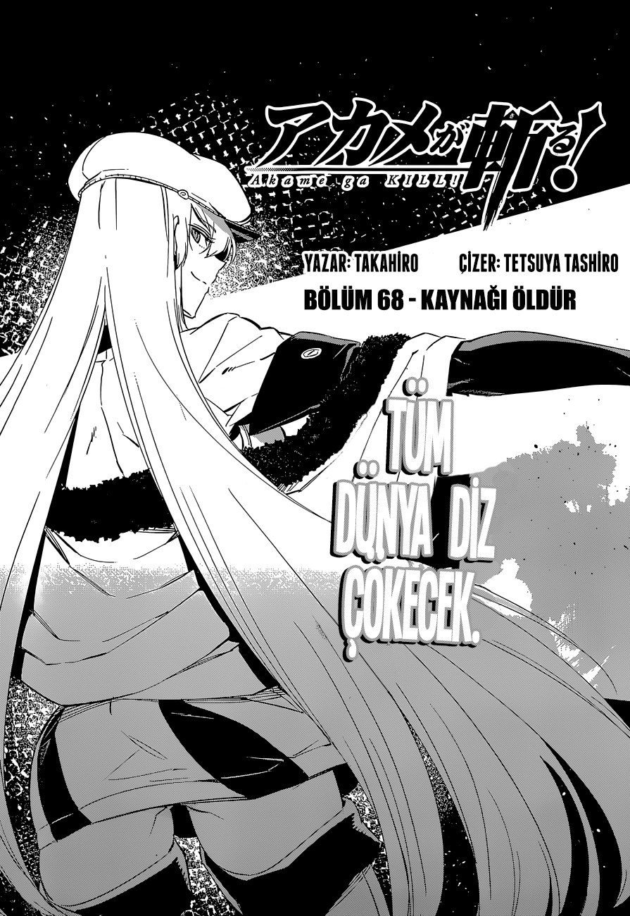 Read Akame ga KILL Tr Manga Online