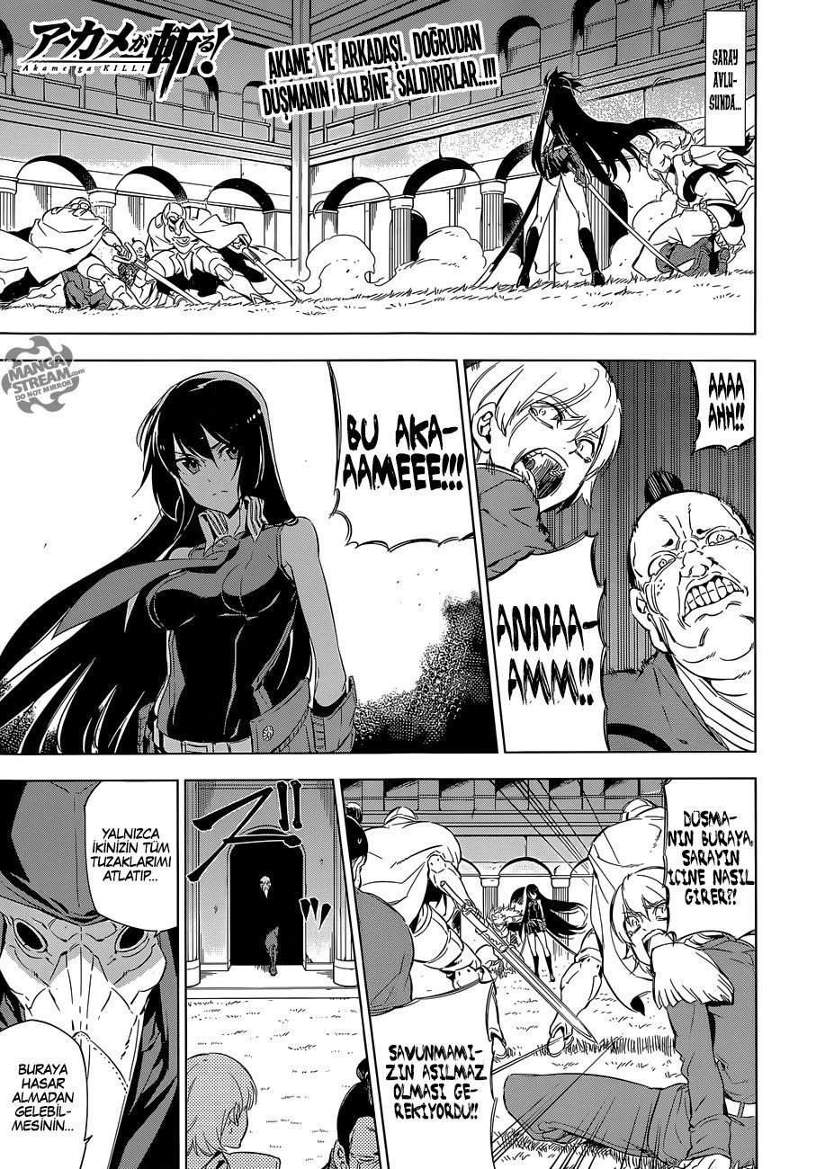 Read Akame ga KILL Tr Manga Online